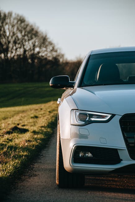 Luxury SUV Transportation Miami for Team Outing in Miami Florida