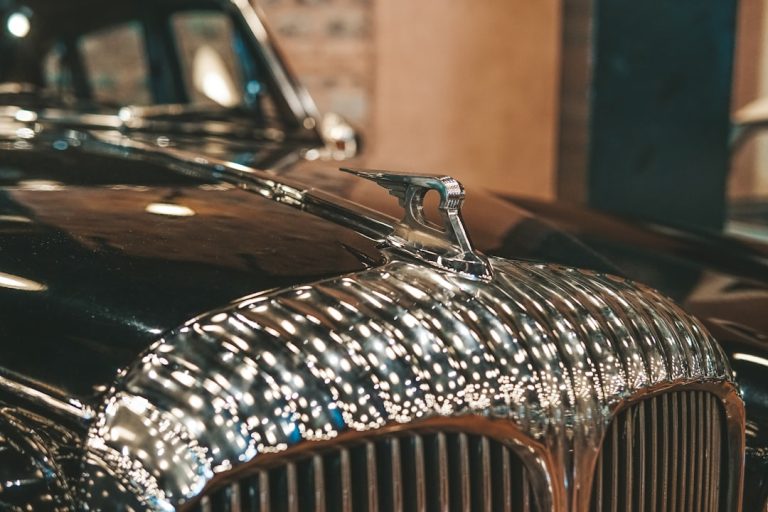 Transportation Services in Miami Florida Experience Luxury with Our Premium Fleet