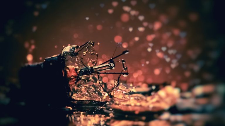 Luxury Car Service for Business Travel in Miami